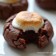 The Best Fudgy Hot Chocolate Cookies with Marshmallow Swirl
