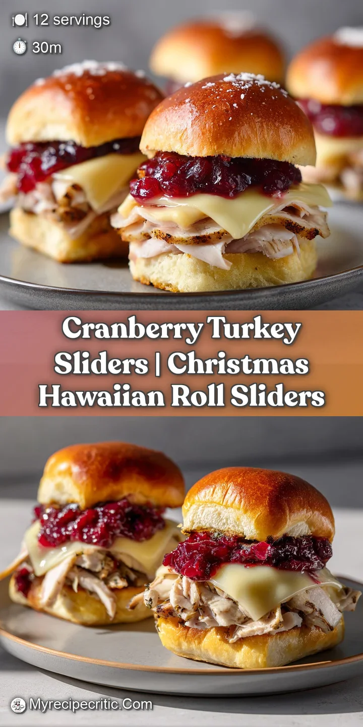 Macro shot of a buttery toasted bun with juicy turkey, melted swiss cheese, and a drip of glossy crimson sauce.